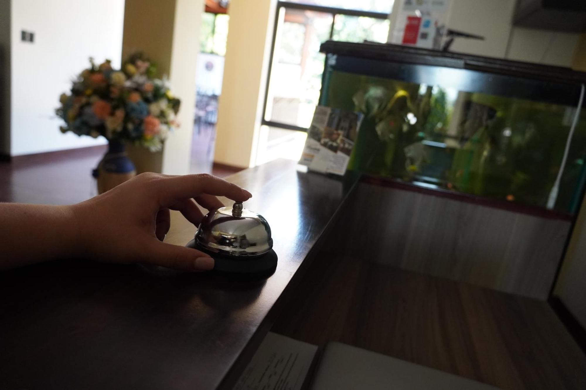 סאן סלבדור Villa Las Flores מראה חיצוני תמונה