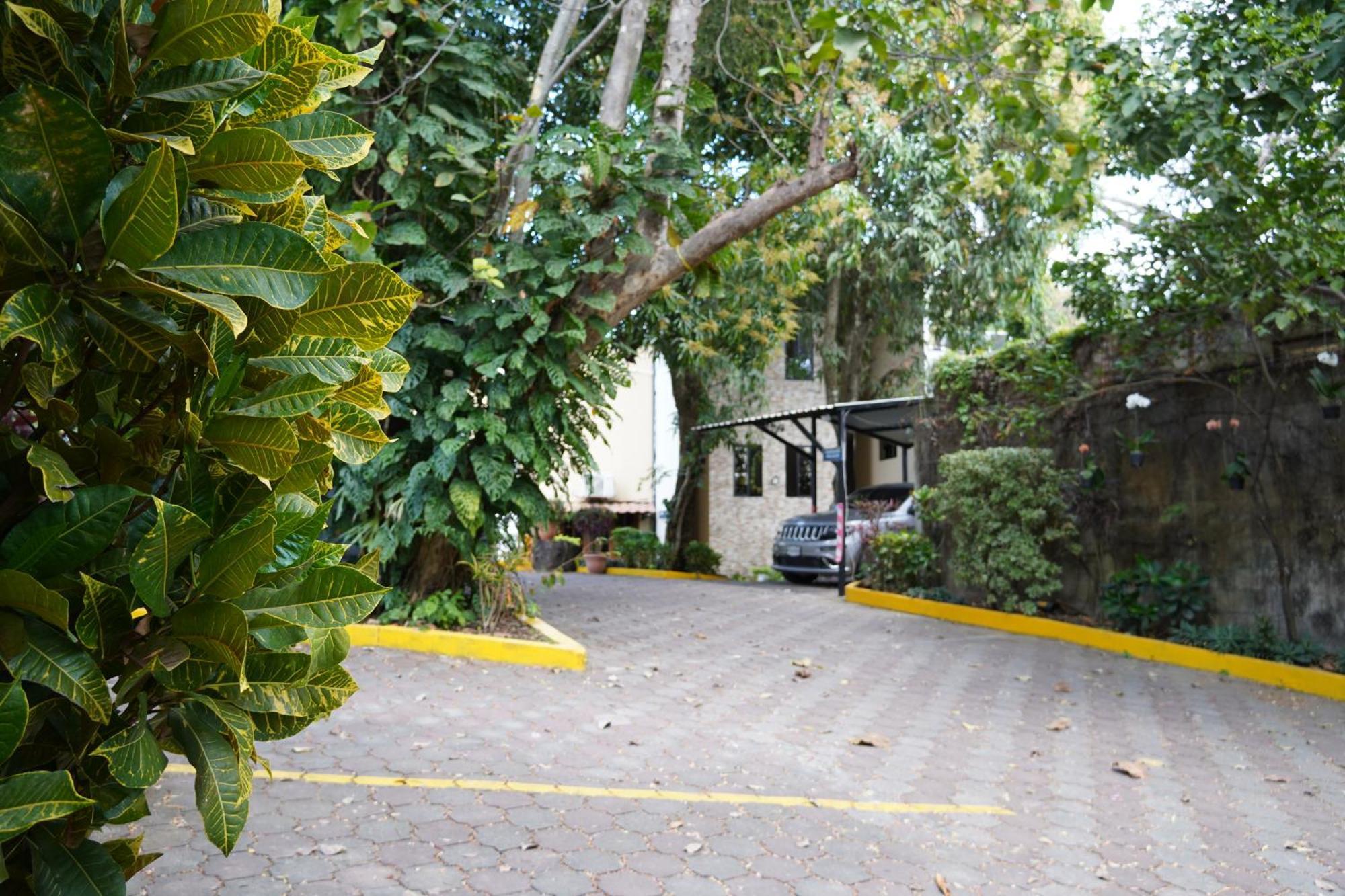 סאן סלבדור Villa Las Flores מראה חיצוני תמונה